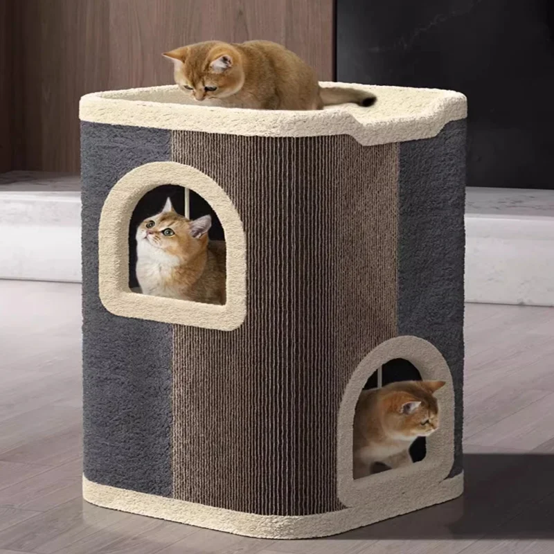 Cat Jealousy