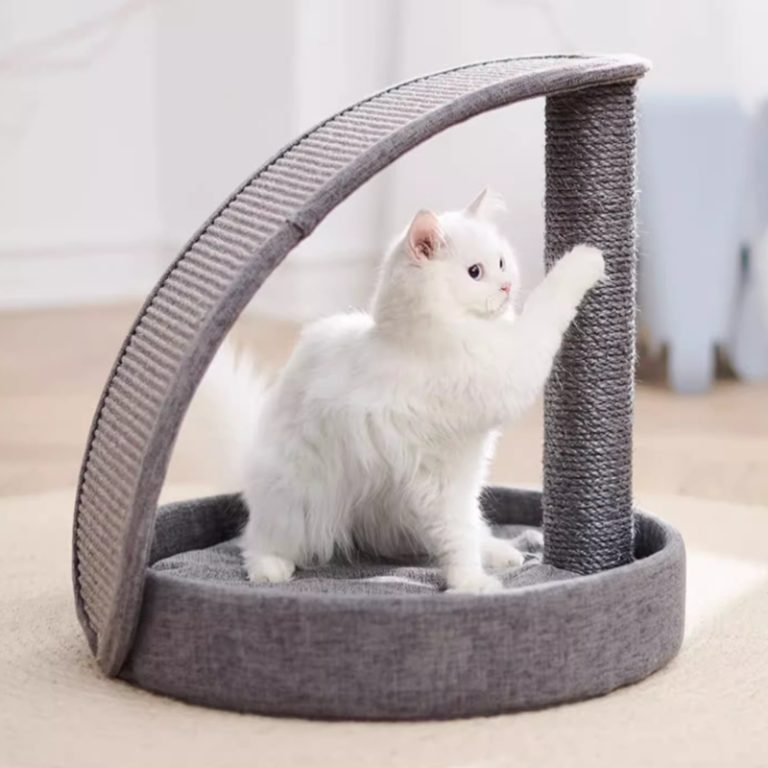 1cat