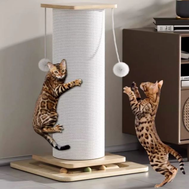cat scratcher