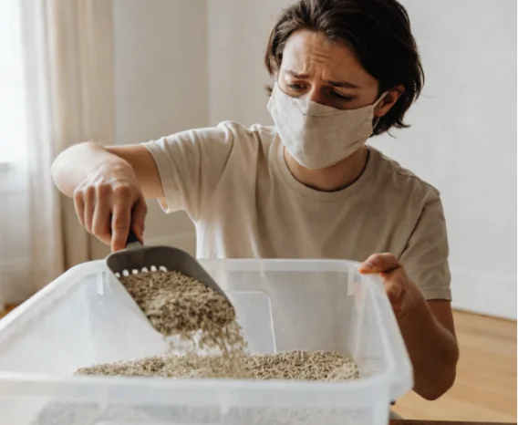 Person wearing a face mask scooping cat litter from a litter box to reduce dust and allergy irritation.