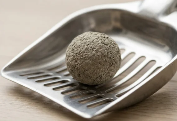 Solid hard clump of bentonite cat litter on a metal scoop.