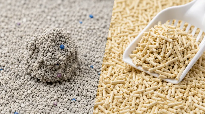 Bentonite vs Tofu Cat Litter Build a Pet Brand Product Line