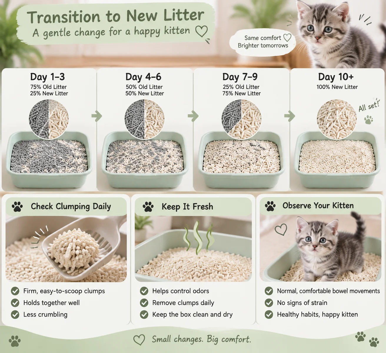 Kitten litter transition and clumping